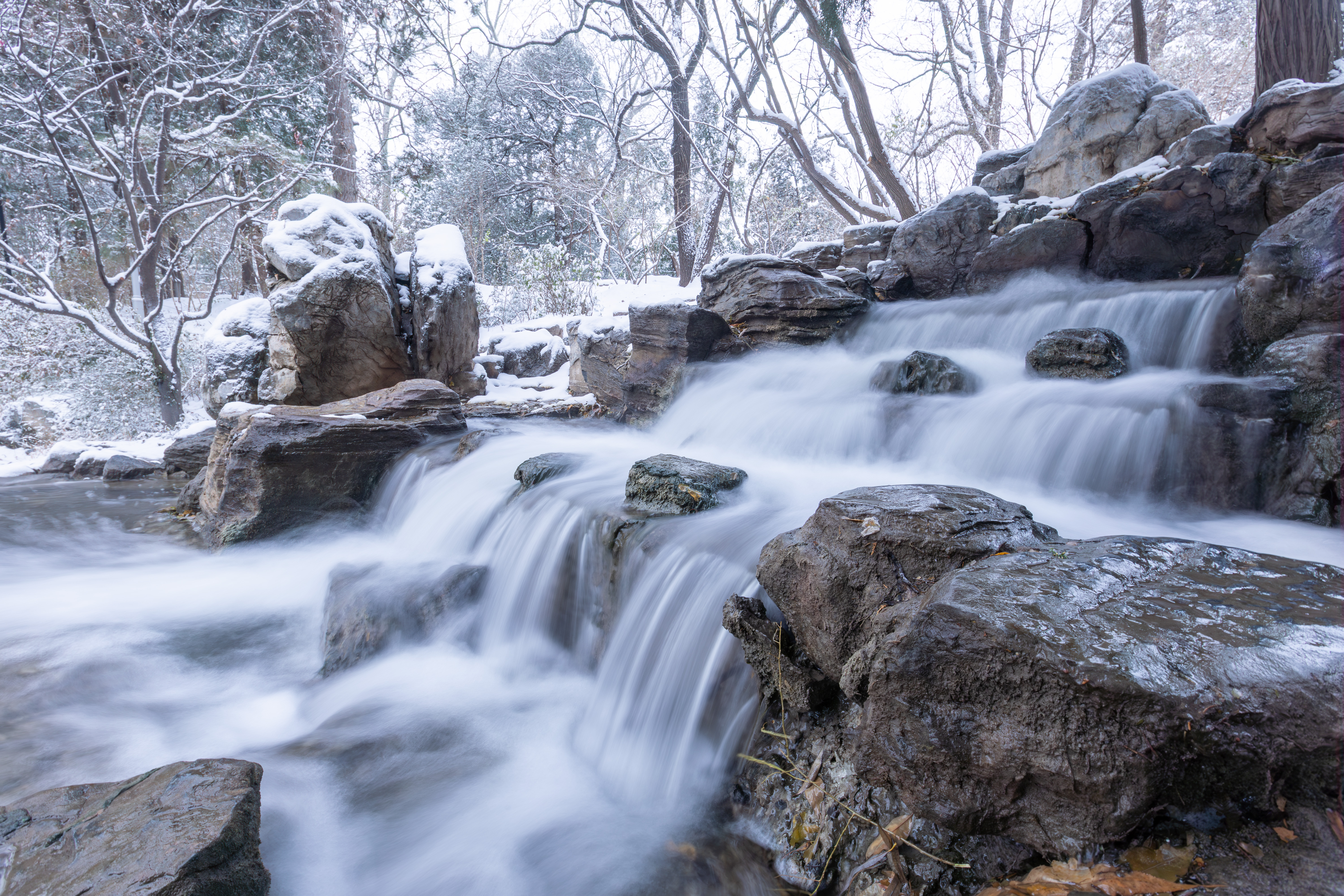 20231211-雪10-米兰-供图.jpg