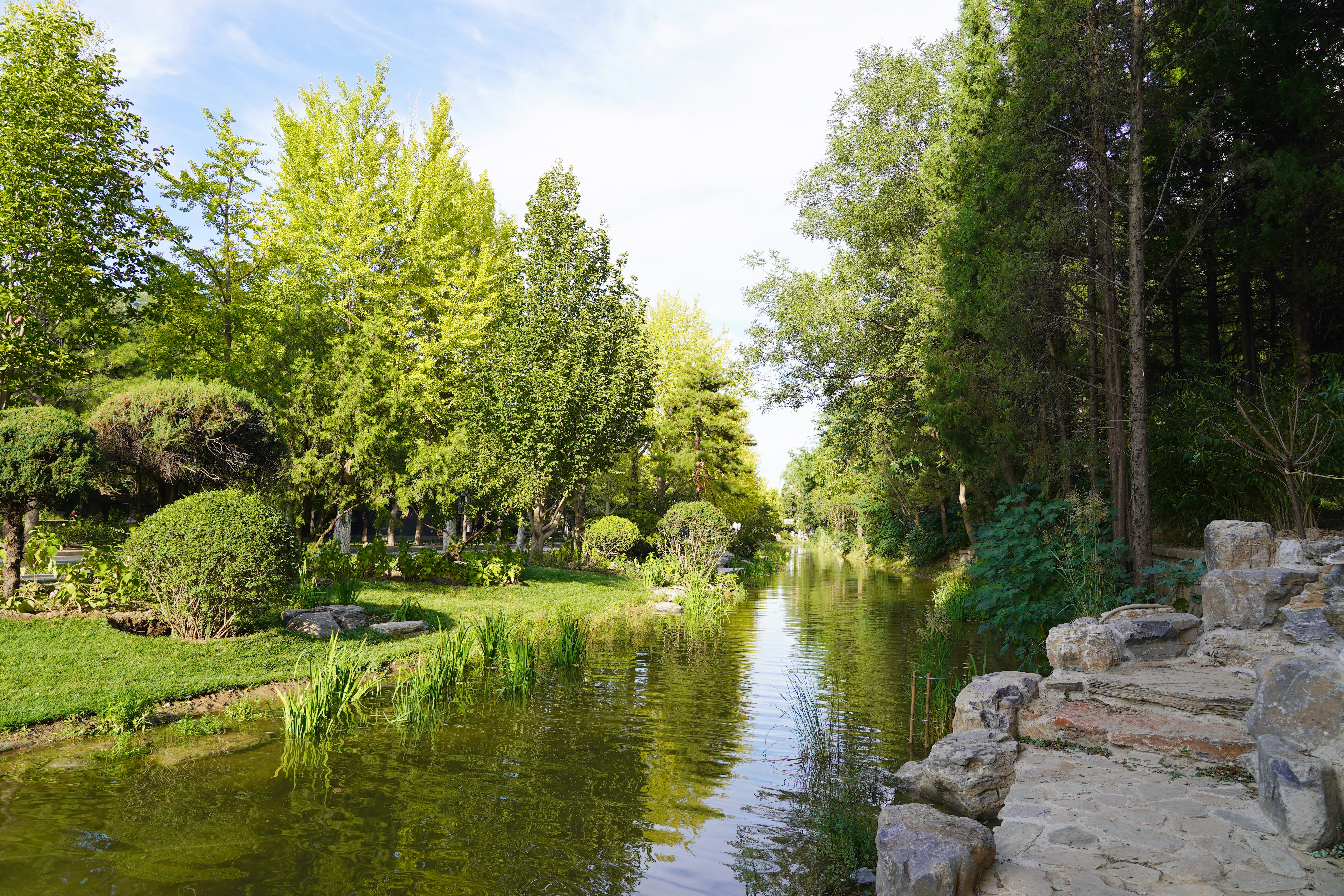 20220925-南支河改造-徐艺薷-修缮中心提供1jpg 20220925-南支河改造-徐艺薷-修缮中心提供1jpg