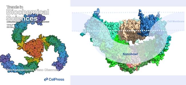 空白背景1new .jpg