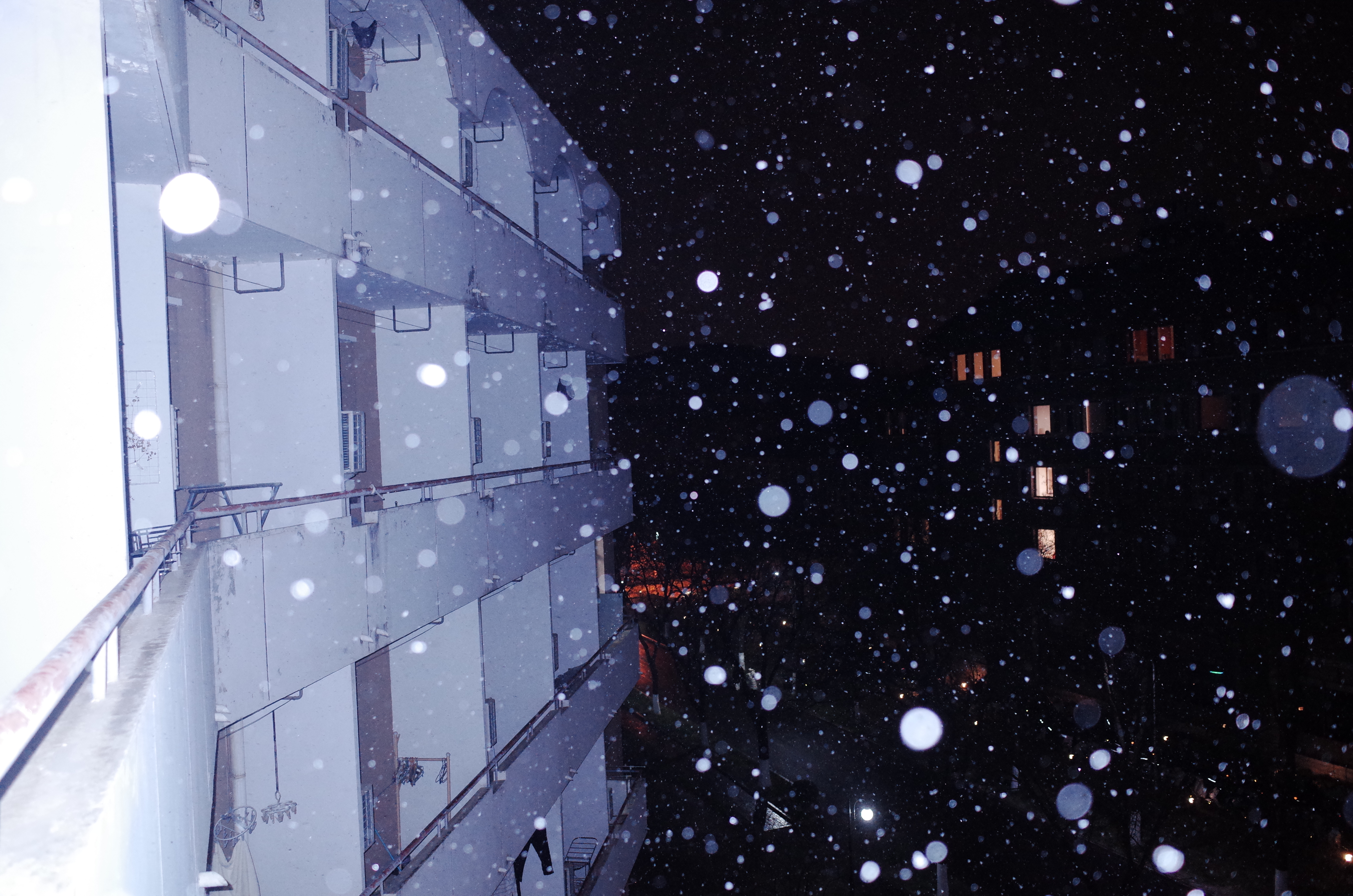 20231211-雪7-米兰-供图.jpg
