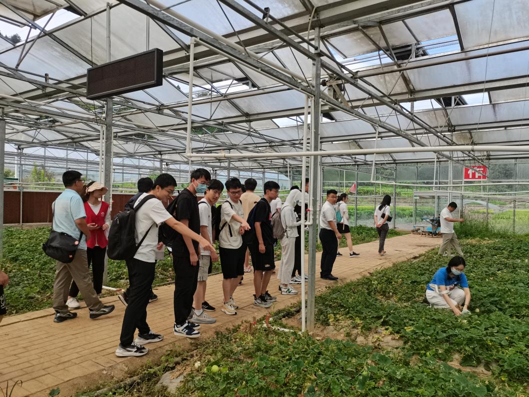 20220808-0814-米兰milan官方网站“林枫计划”师生赴江西赣县区调研实践-马小涵摄-支队师生参观五云镇夏潭村蔬菜研学基地.jpg