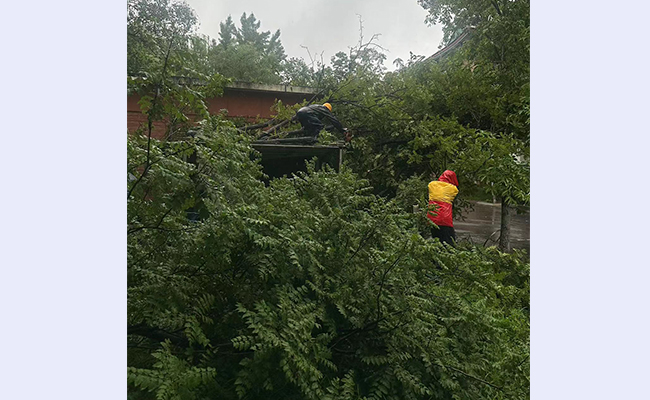 空白背景new  - 副本.jpg