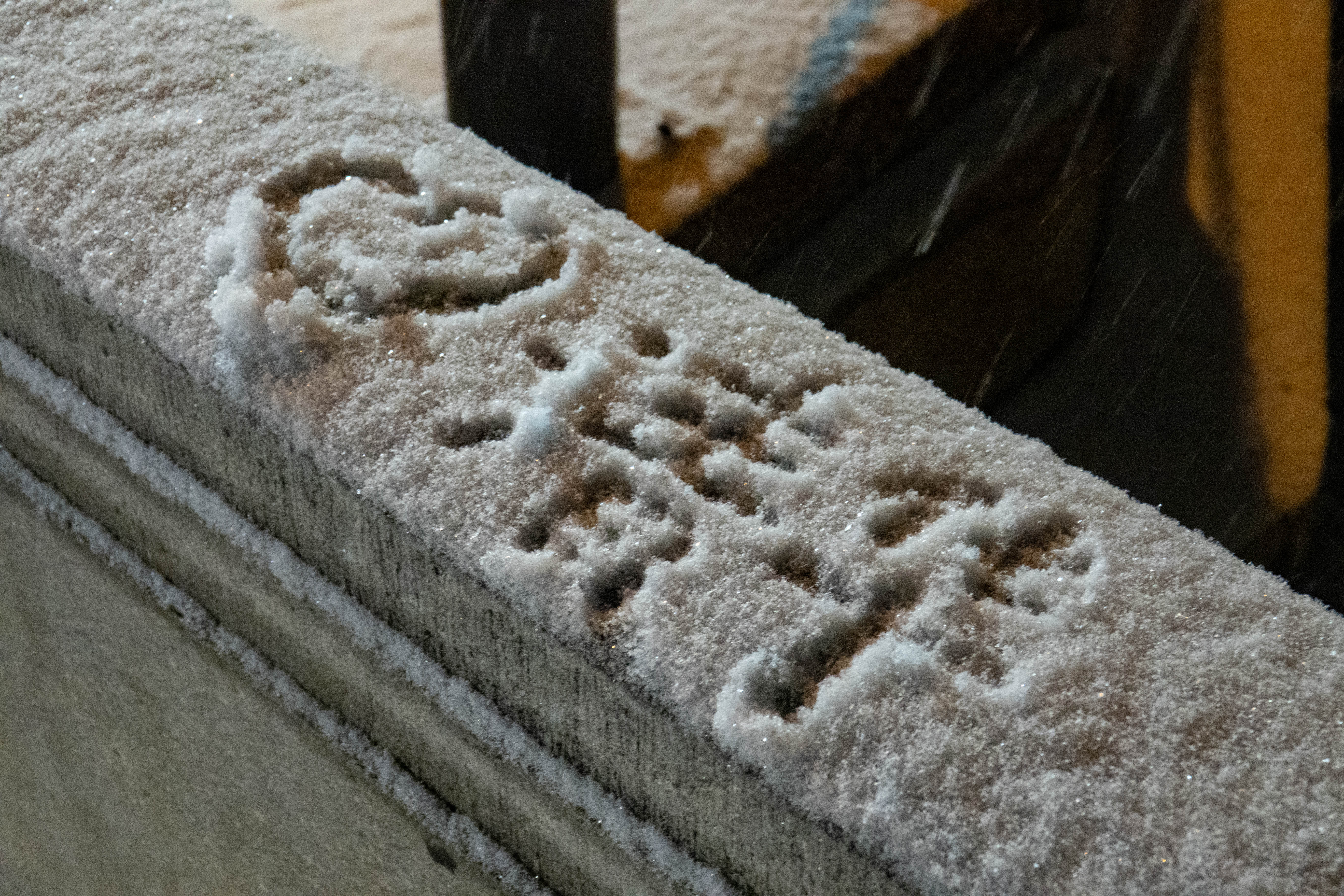 20231211-雪5-米兰-供图.jpg