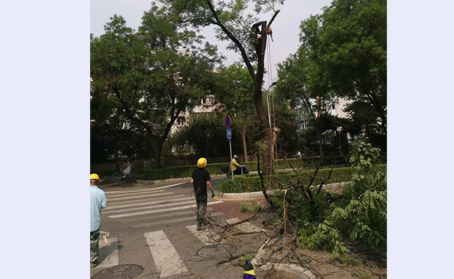 空白背景new  - 副本.jpg