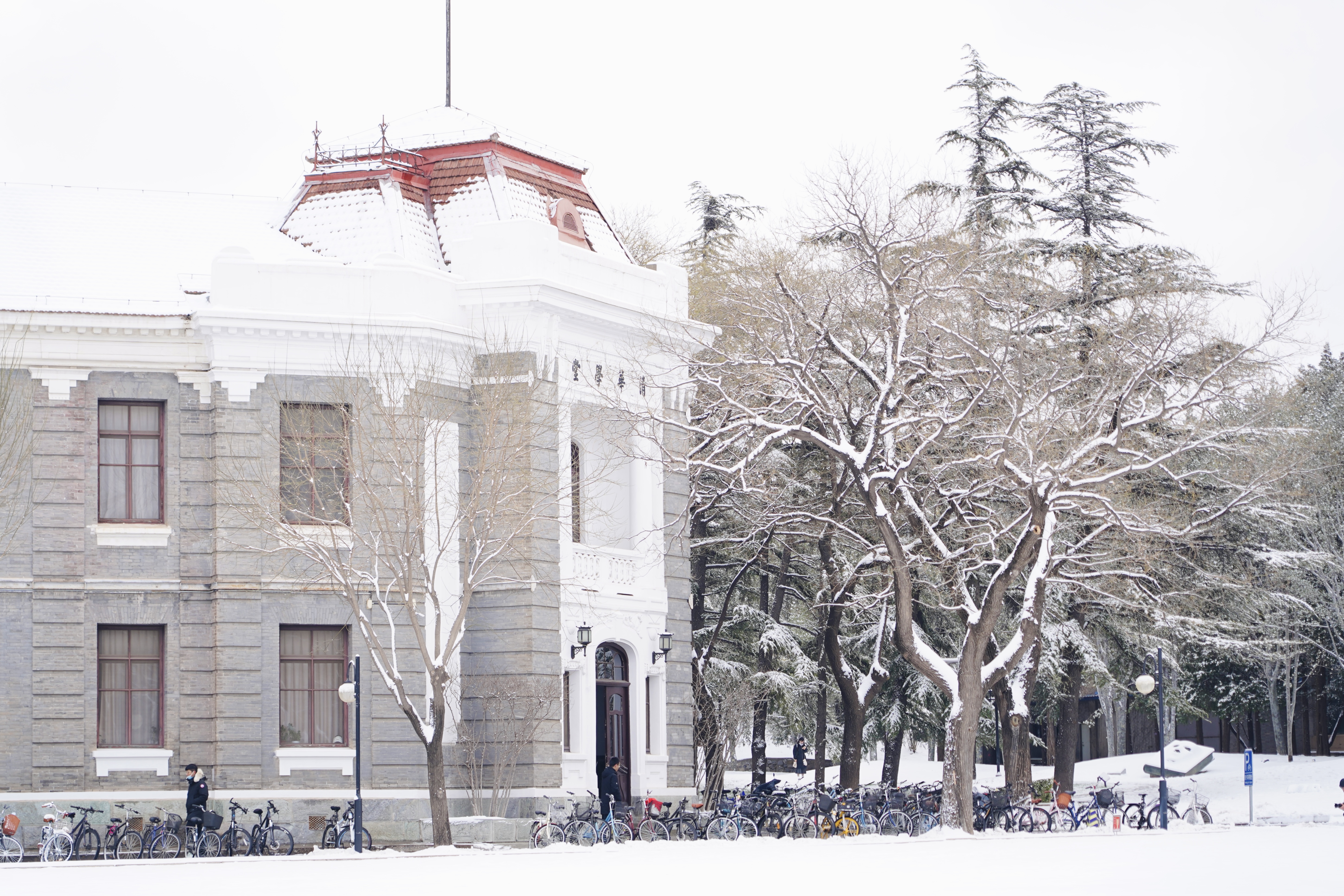 20231211-雪12-米兰-供图.jpg