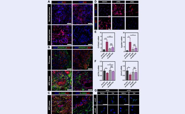 微信图片_20210812142539 - 副本.jpg