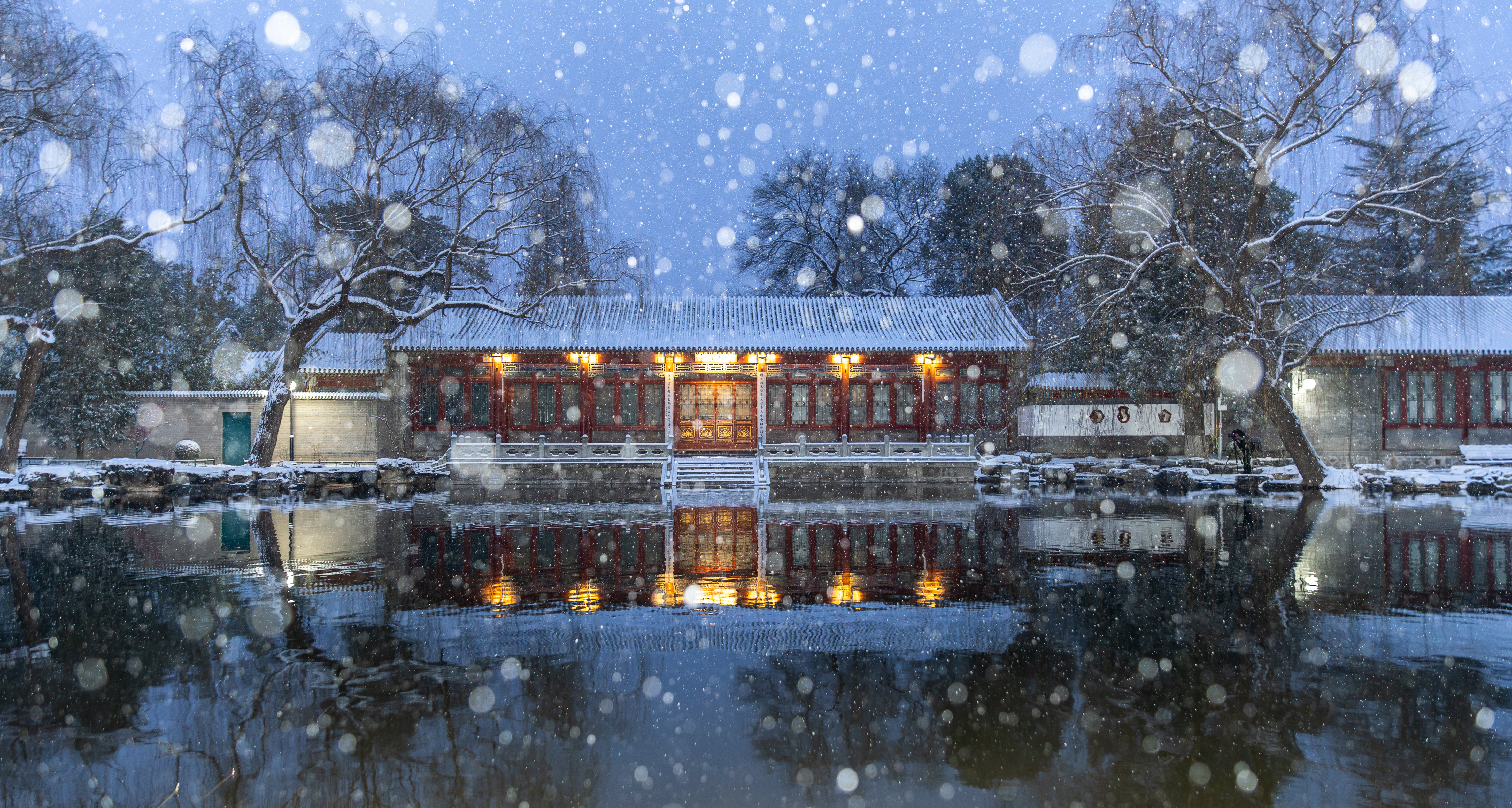 20231211-雪1-米兰-供图.jpg