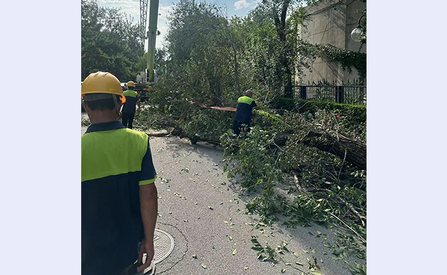 空白背景new  - 副本.jpg