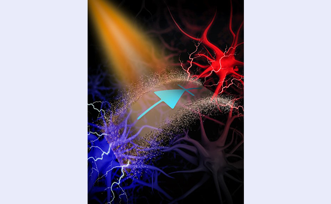 空白背景new - 副本.jpg